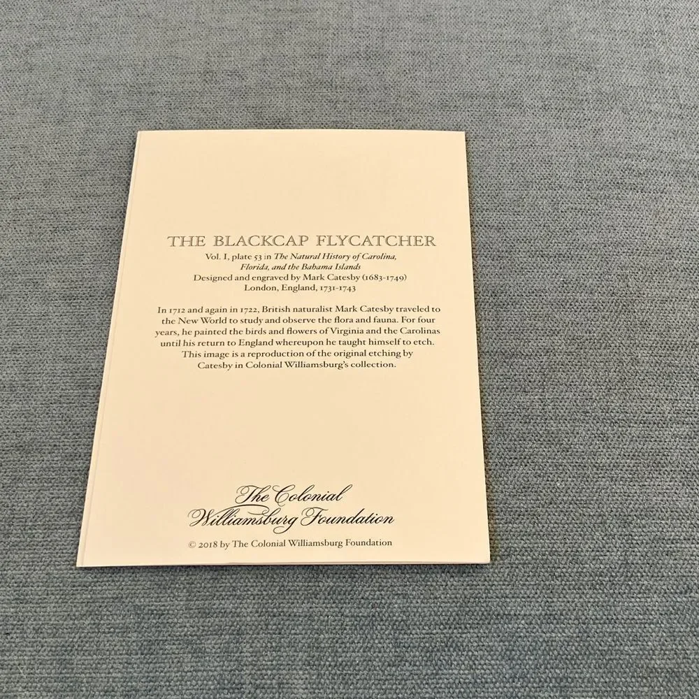 The Blackcap Flycatcher The Colonial Williamsburg Foundation Card